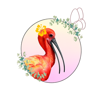 Logo Lieu-D'Ibis